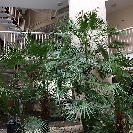 Apartamento Tu Casa Parking Fibre Optique Netflix *